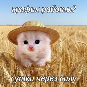 Внесение сзр умо