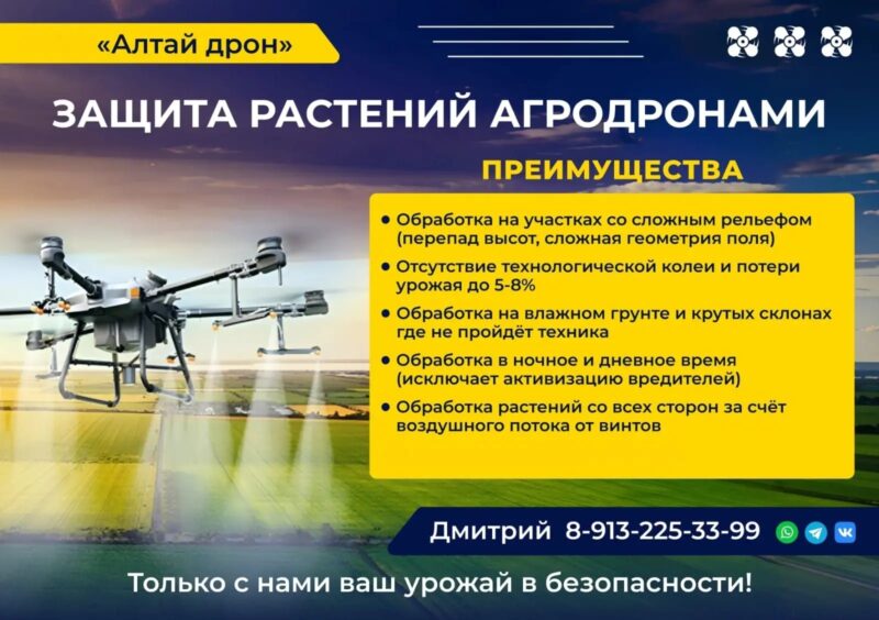 С нами надёжно, Алтай дрон!
